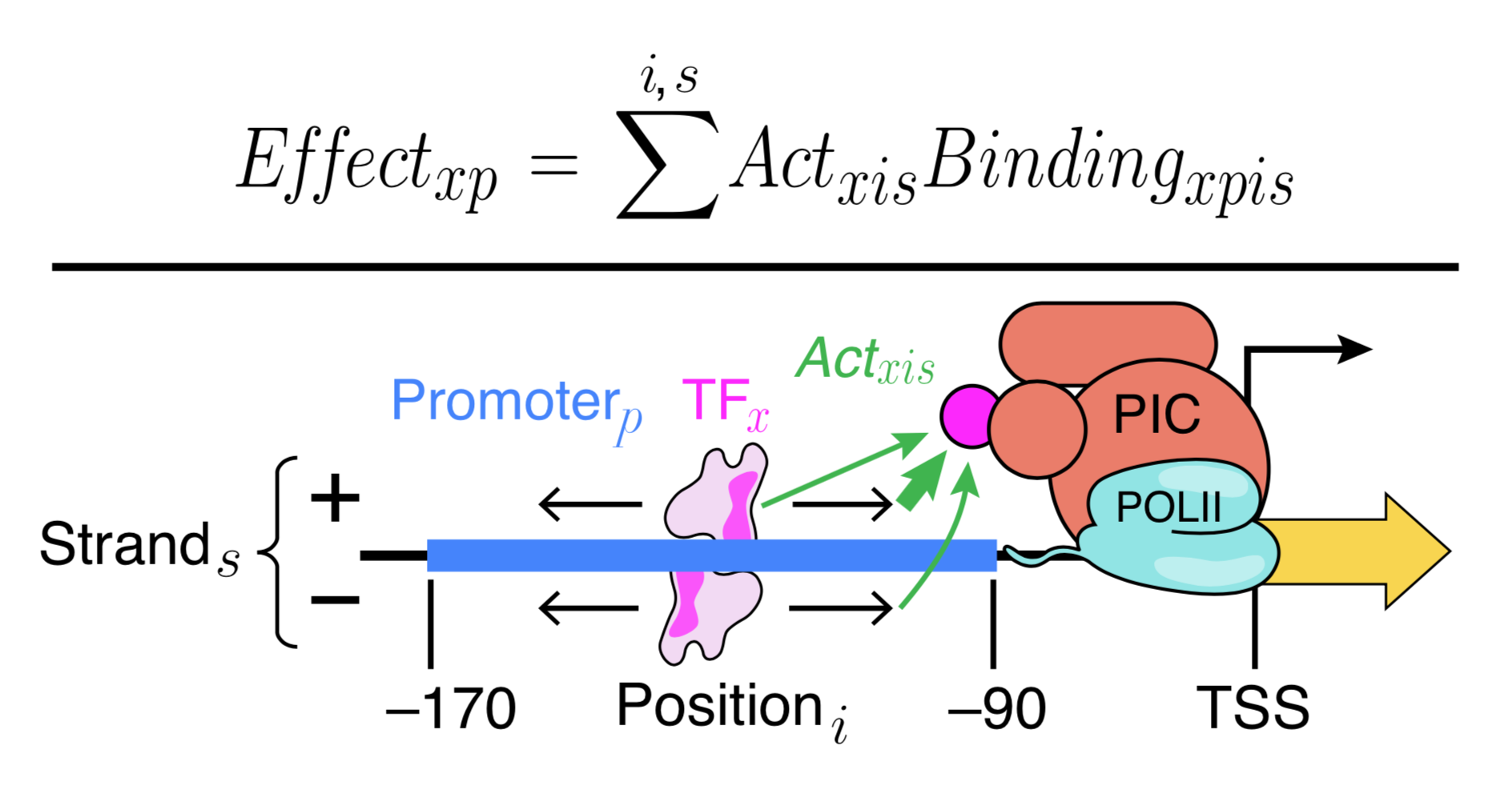 positional model